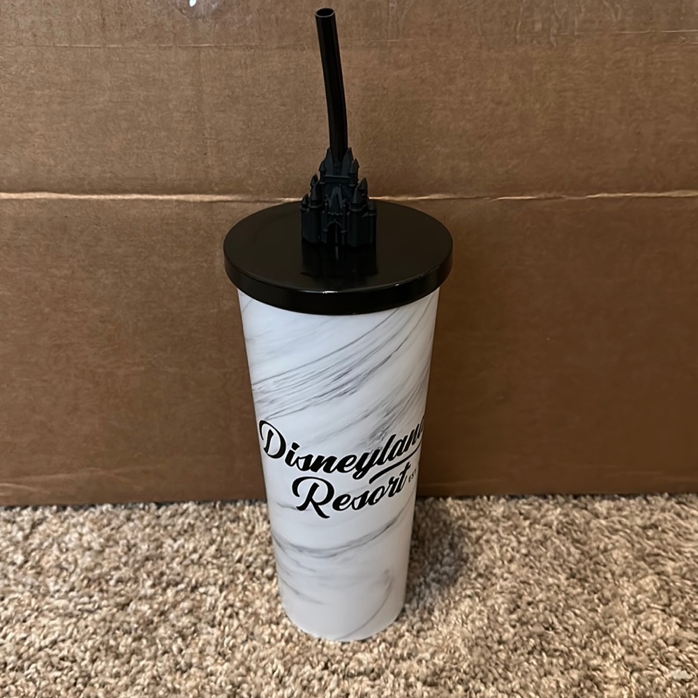 Disneyland Resort Marble Insulated Tumbler with Castle Straw